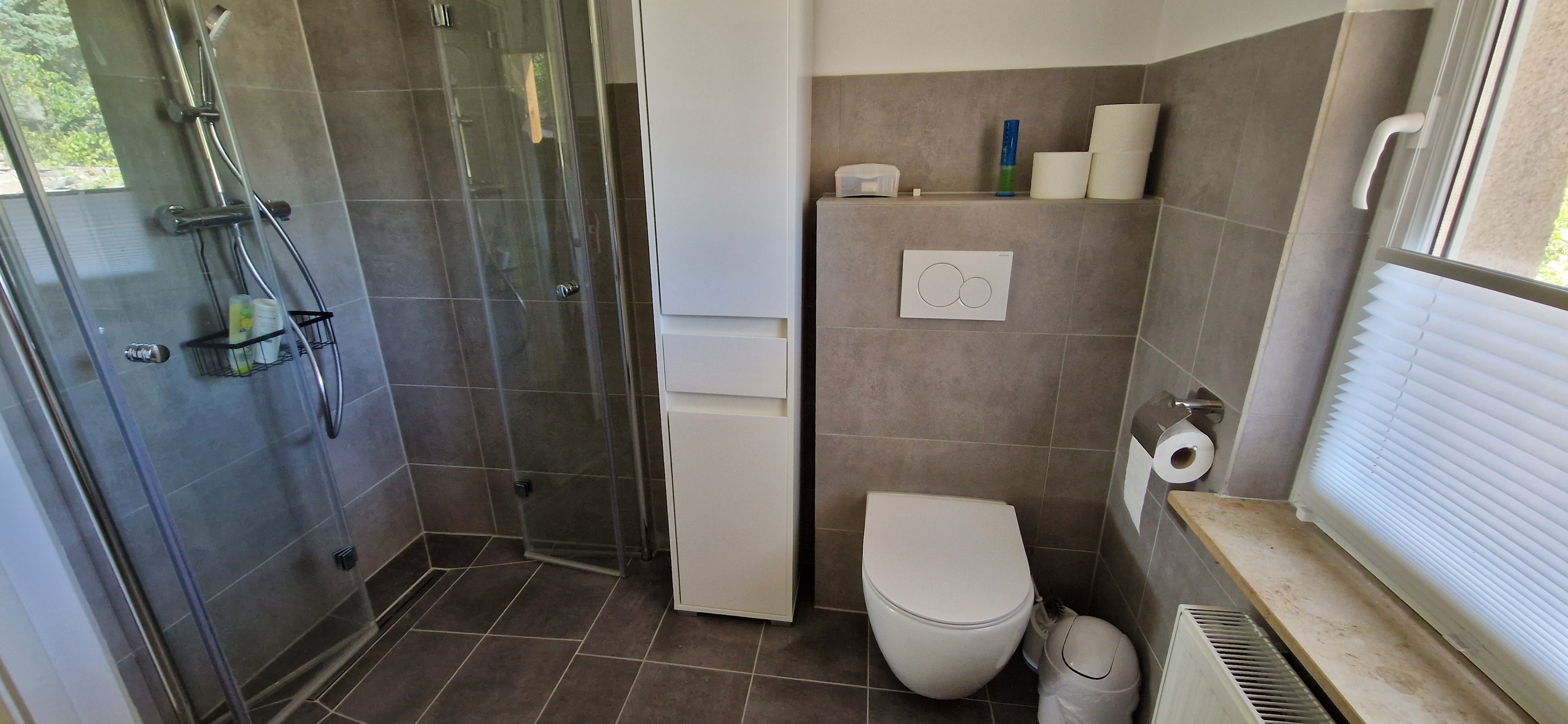 Dusche und WC im Bad